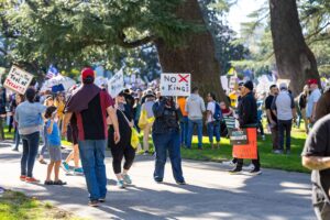 Trump Immigration Unrest: The Real Blame Behind Chaos